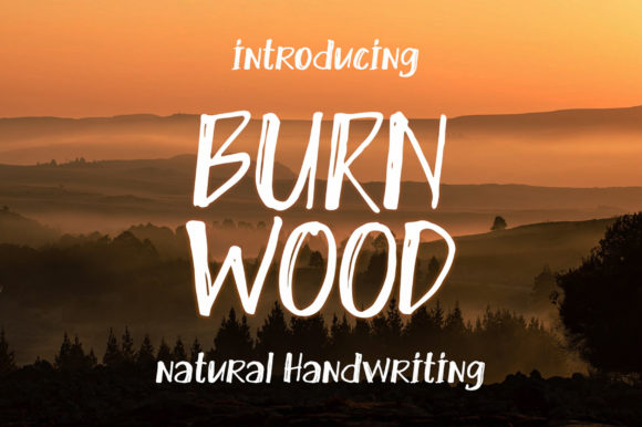 Burn Wood: A Quirky Display Font for Creative Projects